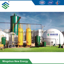 Anaerobic Bioeactor Tank for Biogas Plant Pig Farm Waste Treatment